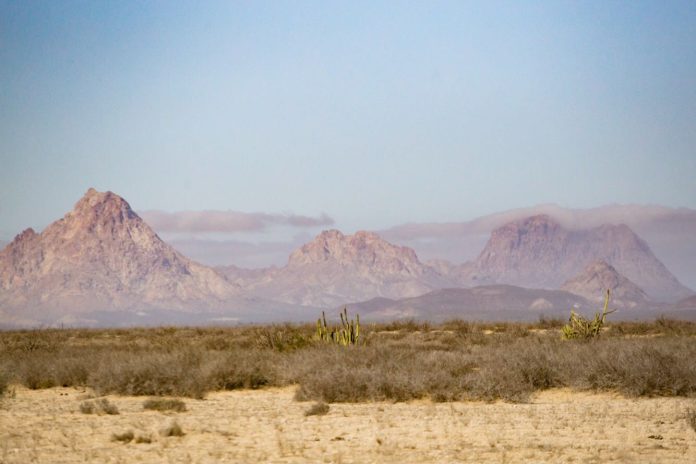 boletin principal medio ambiente 2